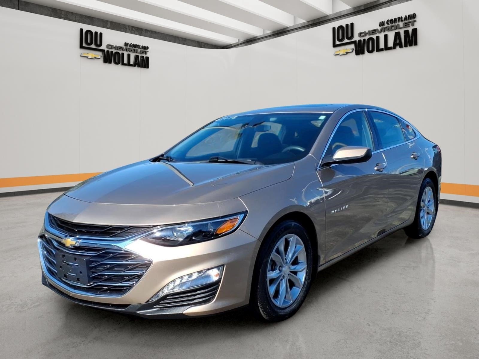 2019 Chevrolet Malibu 1LT