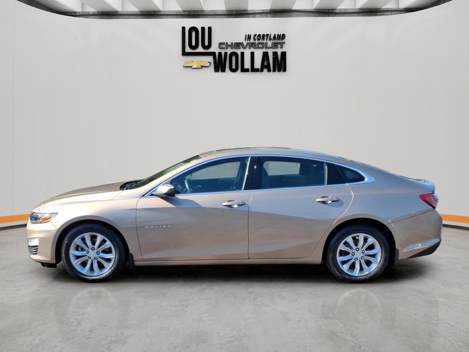 Used 2019 Chevrolet Malibu 1LT with VIN 1G1ZD5ST0KF118364 for sale in Cortland, OH