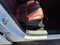 2025 Mazda Mazda CX-50 Hybrid Premium Plus Package